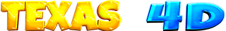 LOGO TEXAS4D